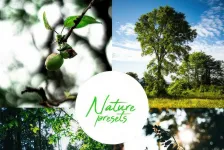 自然风光摄影后期调色 Lightroom预设Nature Lightroom Preset