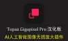 Topaz Gigapixel Pro v1.3.0中文正式版-AI图像无损放大插件