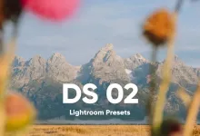 摄影师Dylan Spitz LR预设02- DS Presets 02 Lightroom Presets