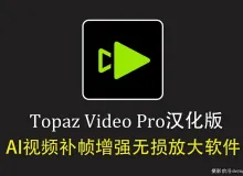 Topaz Video v1.6.1 汉化正式版 AI视频补帧增强无损放大软件