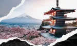 日本摄影师山口幸树(Kohki Yamaguchi)全新制作的签名Lightroom预设