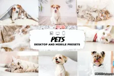 明亮宠物摄影后期调色Lightroom预设 Pets Lightroom Presets