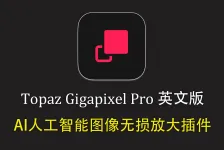 Topaz Gigapixel for mac v1.3.0英文版-AI图像无损放大软件