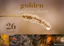 金色唯美微距摄影后期调色Lightroom预设Golden Lightroom Presets