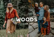 森系人像质感电影胶片LR预设 WOODS FOREST LIGHTROOM PRESETS