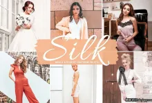 奶油裸色调人像调色Lightroom预设 Silk Pro Lightroom Presets