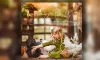 唯美情绪色彩LR预设Marion Flemming -  Moody Tones Presets