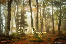 Ellen Borggreve – 森林摄影的魔力电子书-独家精翻PDF中文教程