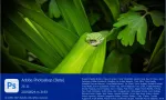 Photoshop 2025(Beta)v26.11 m.3214+神经网络滤镜+移除功能免安装板(WINx64)