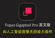 Topaz Gigapixel for mac v1.3.1英文版-AI图像无损放大软件