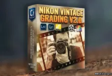 Cobalt Image -尼康复古色彩分级预设Nikon Vintage Grading v2.0