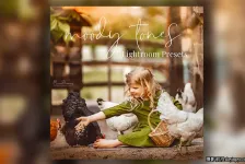 唯美情绪色彩LR预设Marion Flemming -  Moody Tones Presets