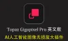Topaz Gigapixel for mac v1.3.0英文版-AI图像无损放大软件