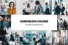 企业人像摄影后期调色Lightroom预设/公司宣传片短视频LUT预设