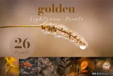 金色唯美微距摄影后期调色Lightroom预设Golden Lightroom Presets