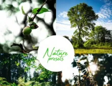 自然风光摄影后期调色 Lightroom预设Nature Lightroom Preset