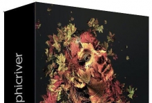 树叶伪装PS特效动作 Leaves Photoshop Action(附视频教程)
