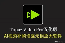 Topaz Video v1.6.1 汉化正式版 AI视频补帧增强无损放大软件
