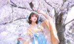 一晨摄影光环4.0【光环摄影教学班】完整版附全部素材