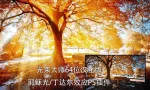 耶稣光/丁达尔光效/光束大师PS插件64位汉化版(支持PS2025)