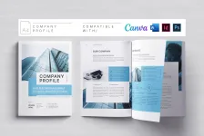 公司资料模板 |Canva |医生 |ID|PSD InDesign模板