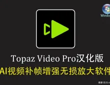 Topaz Video v1.4.1 中文汉化正式版 AI视频补帧增强无损放大软件