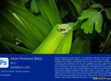 Photoshop 2025(Beta)v26.11 m.3214+神经网络滤镜+移除功能免安装板(WINx64)