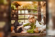 唯美情绪色彩LR预设Marion Flemming -  Moody Tones Presets