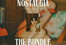 电影胶片模拟LR/LUT预设 The Wanderful Wayfairer-Nostalgia Presets
