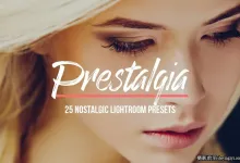 25种褪色复古胶片人像Lightroom预设 Retro Lightroom Presets