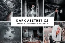 暗色调胶片美学Lightroom预设 Dark Aesthetic Mobile Presets