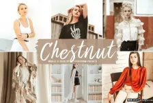 板栗色胶片人像调色Lightroom预设 Chestnut Lightroom Presets