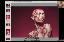 Lindsay Adler -Learn 23-潘通年度洋红色彩布光教程-独家精翻中英字幕
