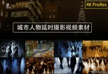Artlist - 14种城市街道人物时光流逝延时摄影4K视频素材