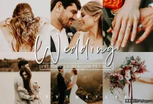 暖色电影婚礼情绪人像调色LR预设Moody Wedding Lightroom Presets