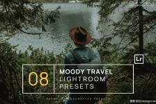 旅拍情绪胶片风光人像调色Lightroom预设/网红手机调色滤镜