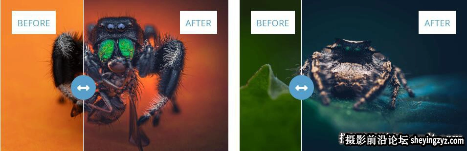 微距静物摄影AI自适应LR预设Stewart Wood - Macro Presets V3