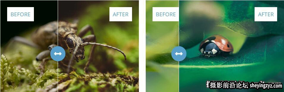 微距静物摄影AI自适应LR预设Stewart Wood - Macro Presets V3