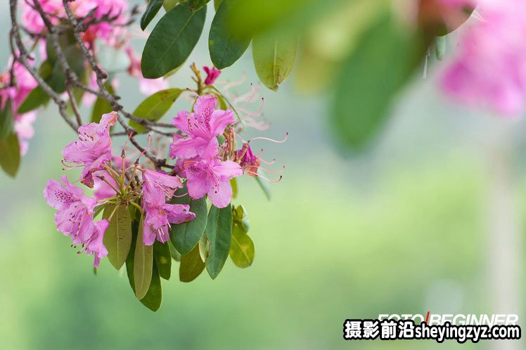 7个焦距和构图的必学应用技巧