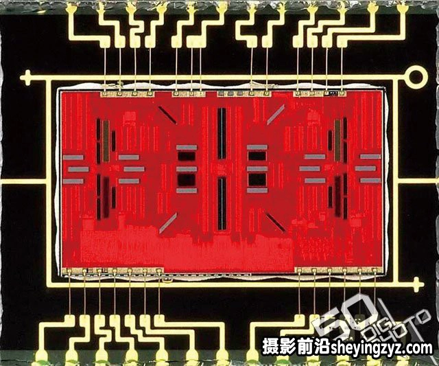 新手必学拍摄时该如何对焦技巧教程