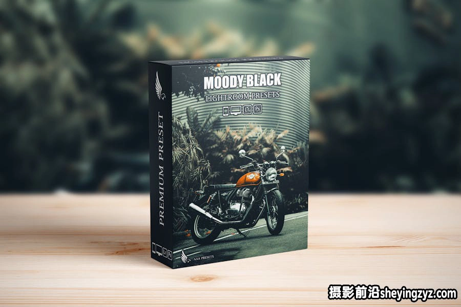 黑暗情绪色彩Lightroom预设 Moody Black Tones Lightroom Presets