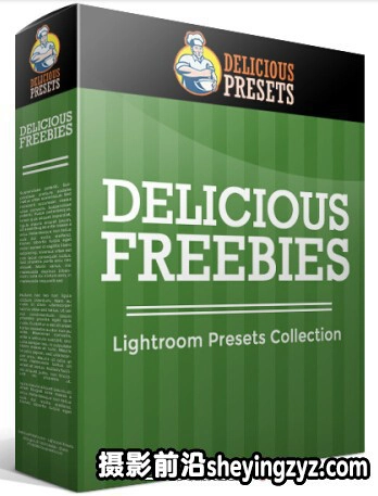 复古人像后期调色Lightroom预设Delicious Lightroom Presets
