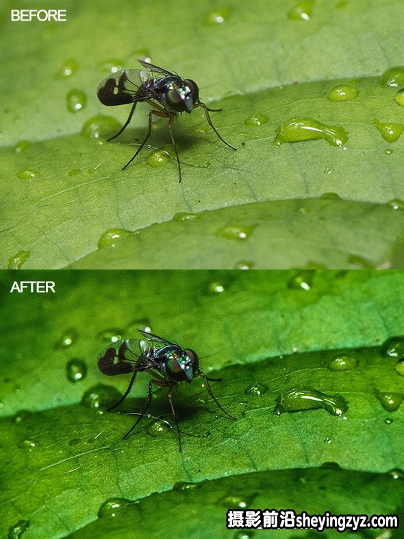 25种复古电影HDR后期调色LR预设 25 HDR Retro Old Effect Presets