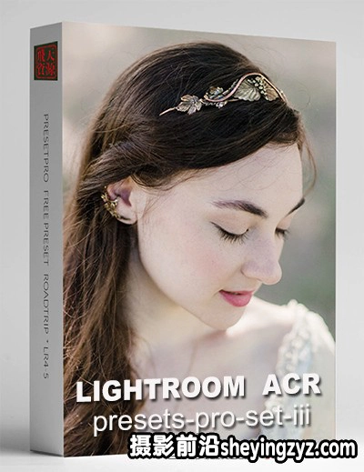 电影婚礼人像Lightroom预设第三季 Rebecca Lily Set III