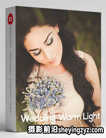 免费lr预设-40种专业婚礼人像Lightroom预设 40 Wedding  Presets