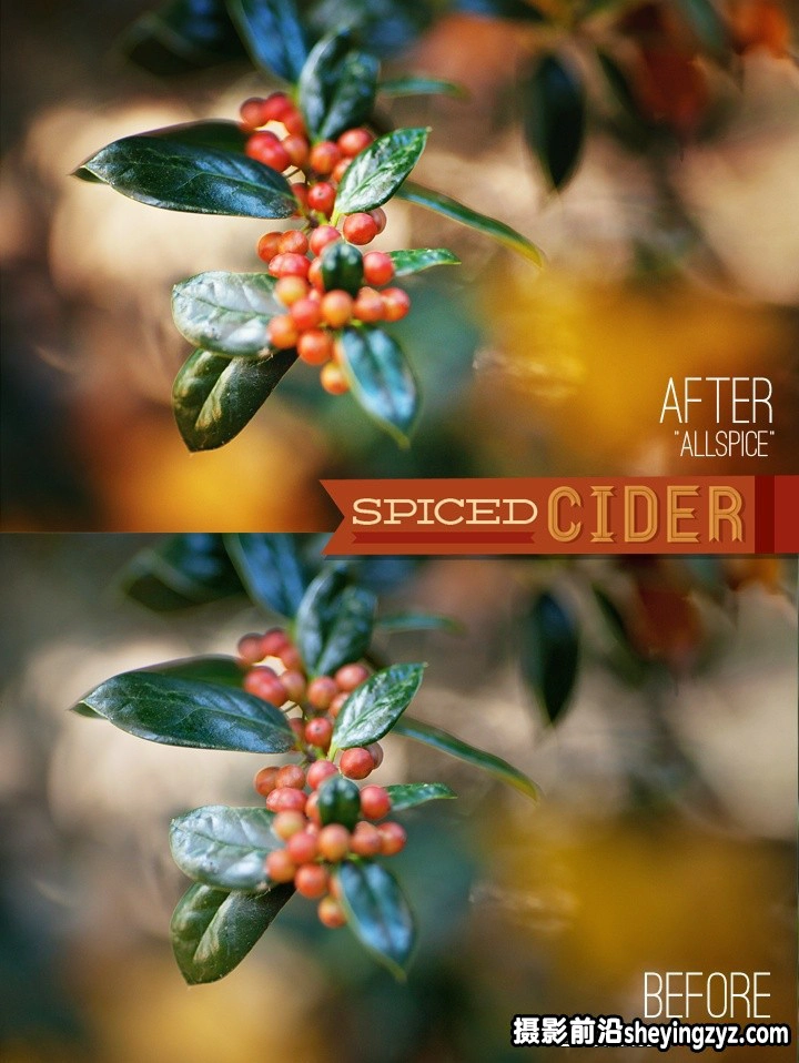 温暖明亮人像Lightroom预设 SPICED CIDER™ LR PRESETS