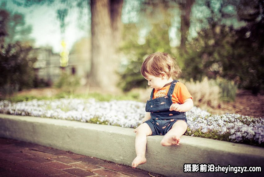摄影技巧-教你如何选择合适单反镜头