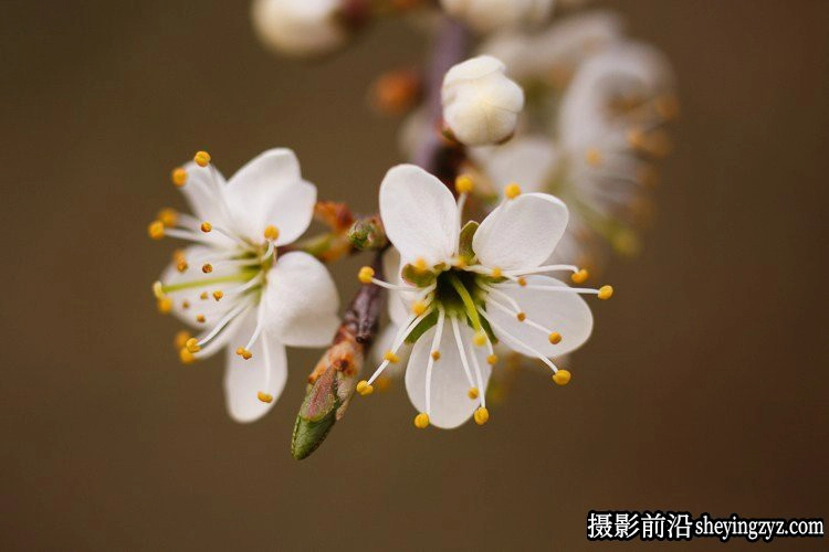 摄影器材-什么样的镜头才是你最需要的