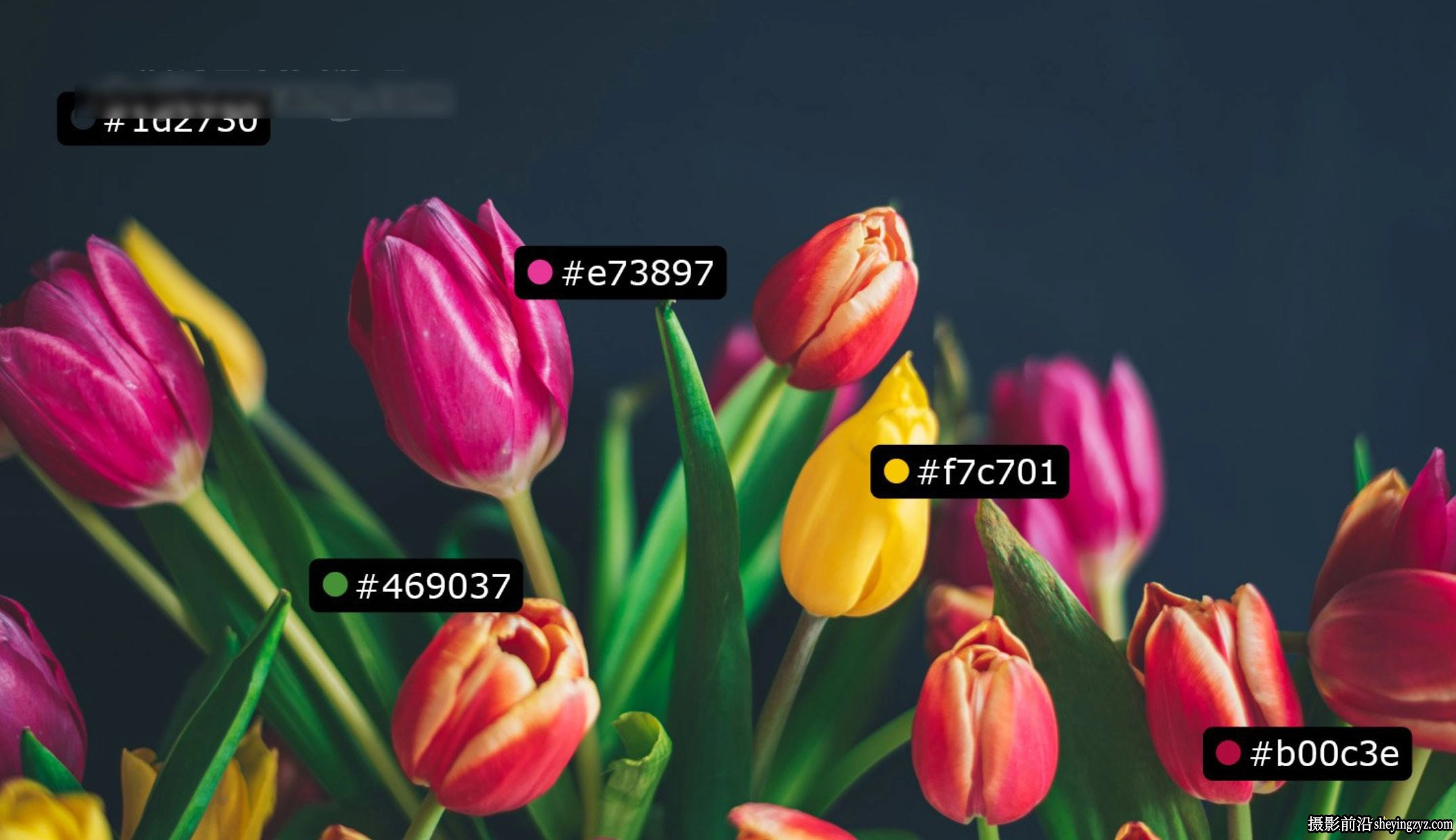 Specs 1.1汉化版PS一键测量距离线条尺寸智能标注扩展