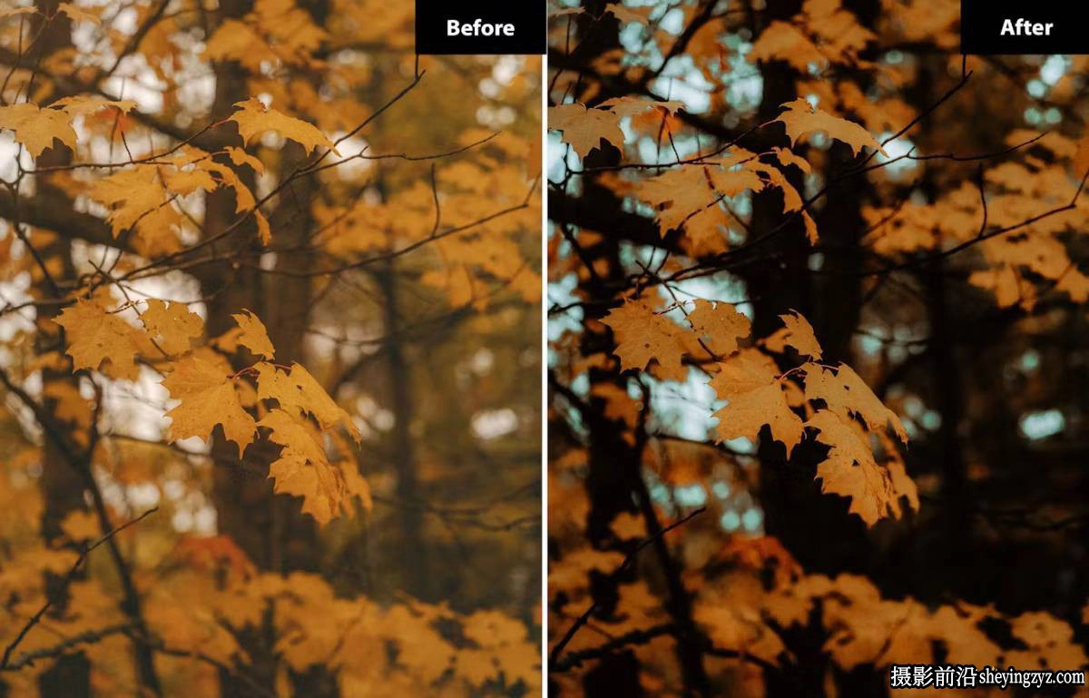 6种秋季电影风光摄影后期Lightroom预设及photoshop预设